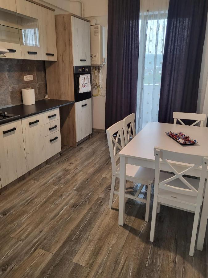 Apartament Dem Radulescu Apartment Ramnicu Valcea Exterior photo